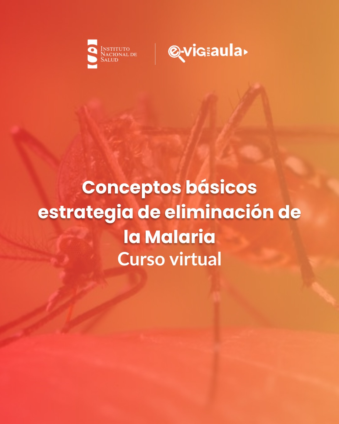 Curso de conceptos básicos de la estrategia de eliminación de la malaria