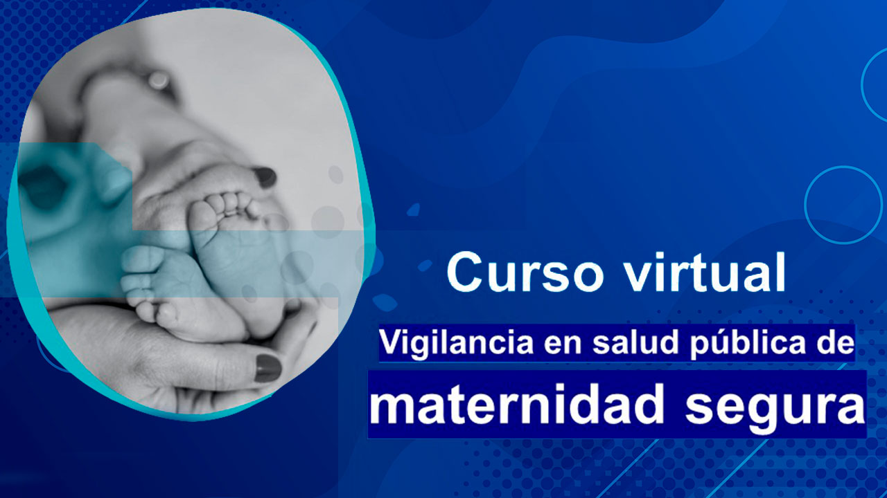 Curso Vigilancia en Salud Pública de Maternidad segura: Mortalidad Perinatal y Neonatal Tardía