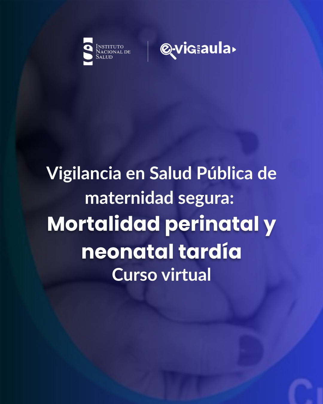 Curso Vigilancia en Salud Pública de Maternidad segura: Mortalidad Perinatal y Neonatal Tardía