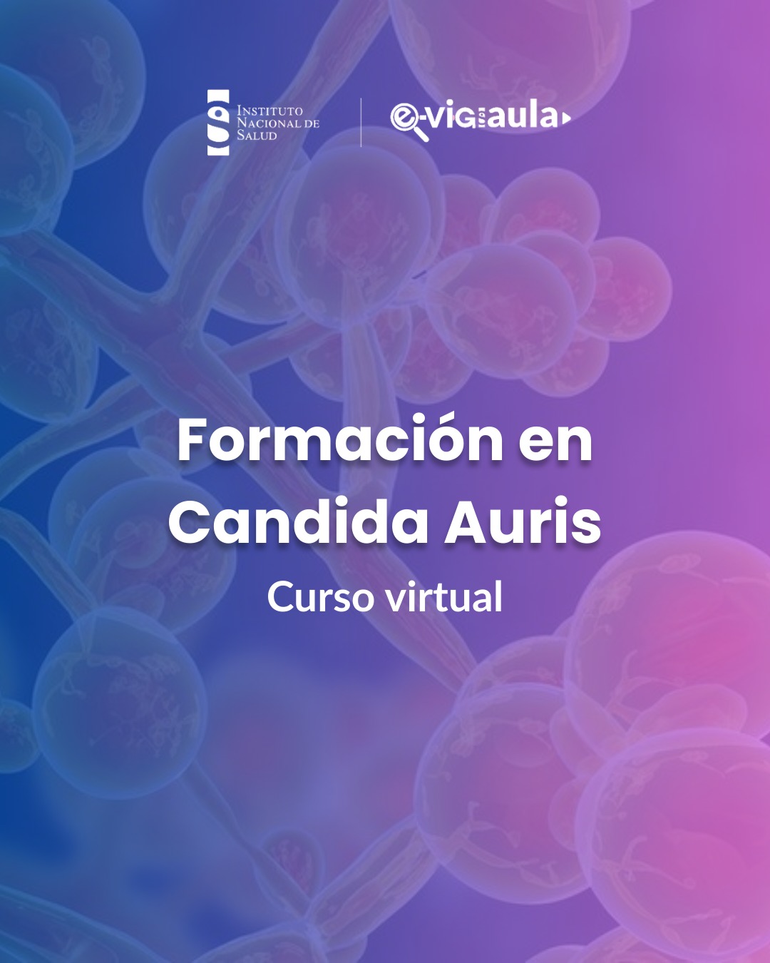 Curso Virtual de Formación en Candida auris