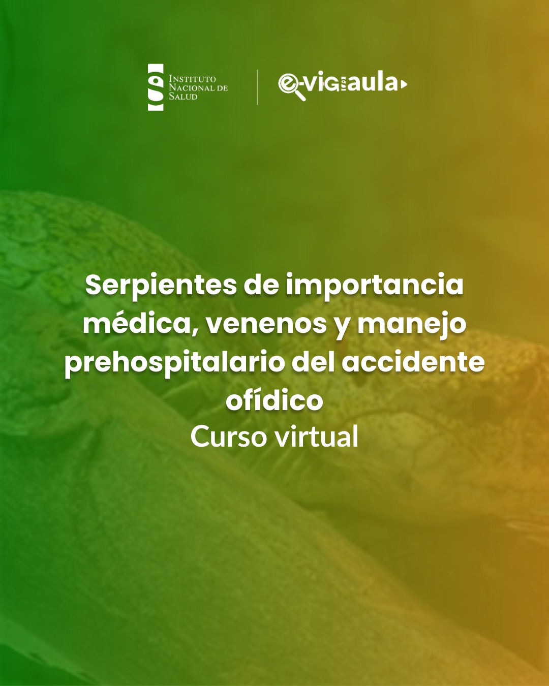 Curso Básico: serpientes de importancia médica, venenos y manejo prehospitalario del accidente ofídico
