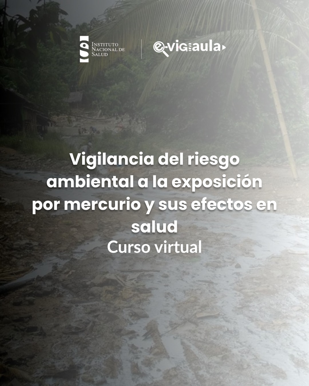 Curso Virtual de vigilancia del riesgo ambiental a la exposición por mercurio y sus efectos en salud