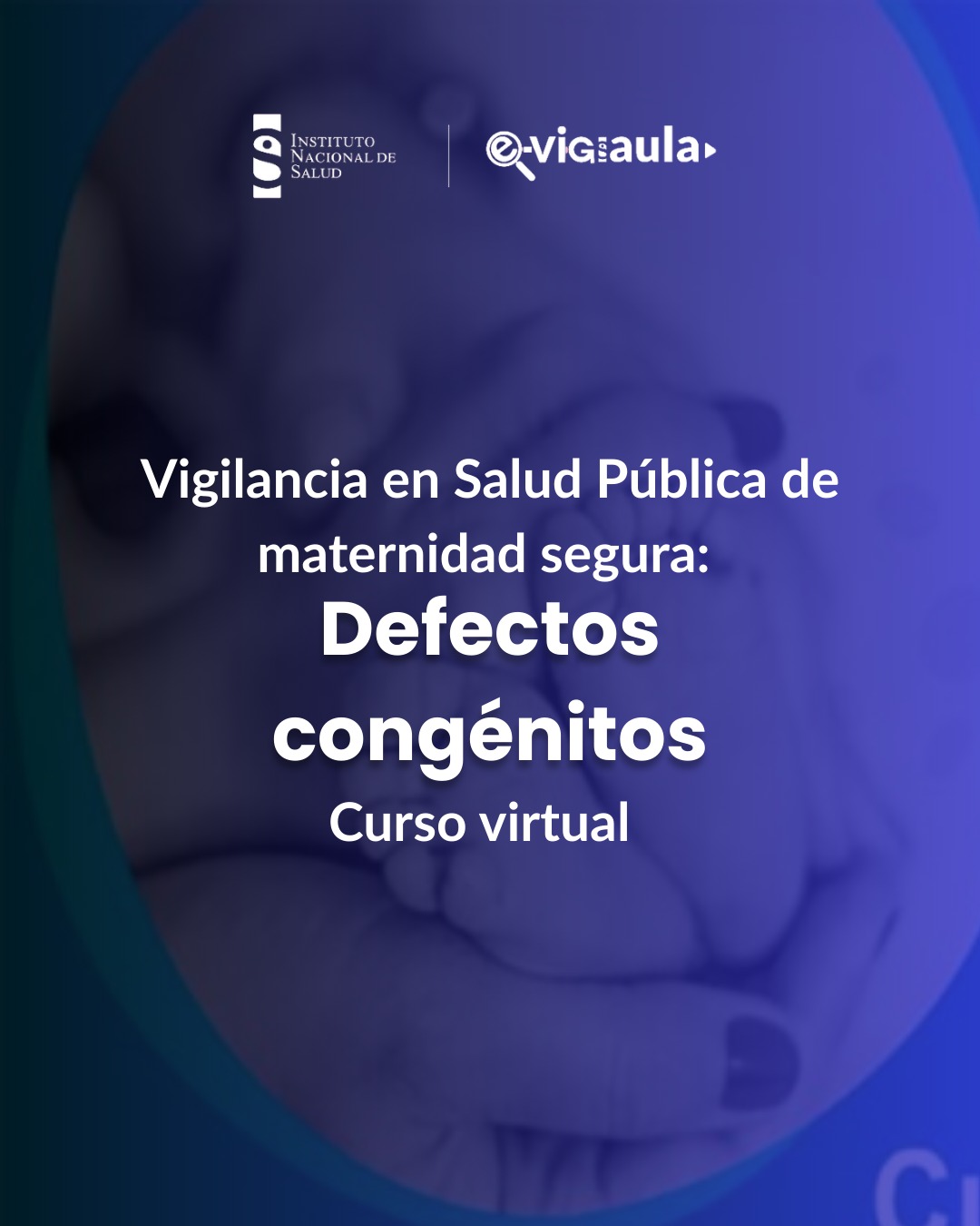 Curso Vigilancia en Salud Pública de Maternidad segura: Defectos Congénitos